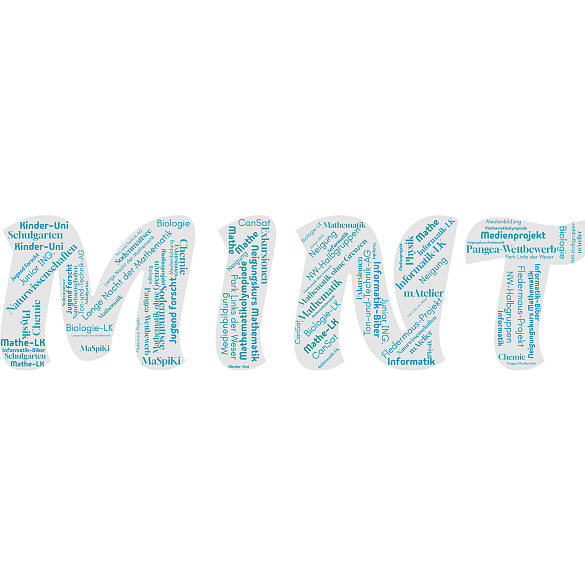 MINT-Angebote am AvH